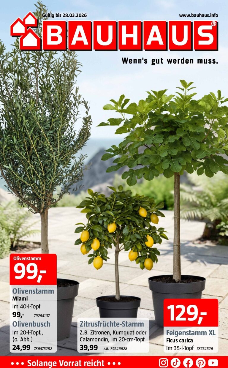 Bauhaus Prospekt 28.03.2026